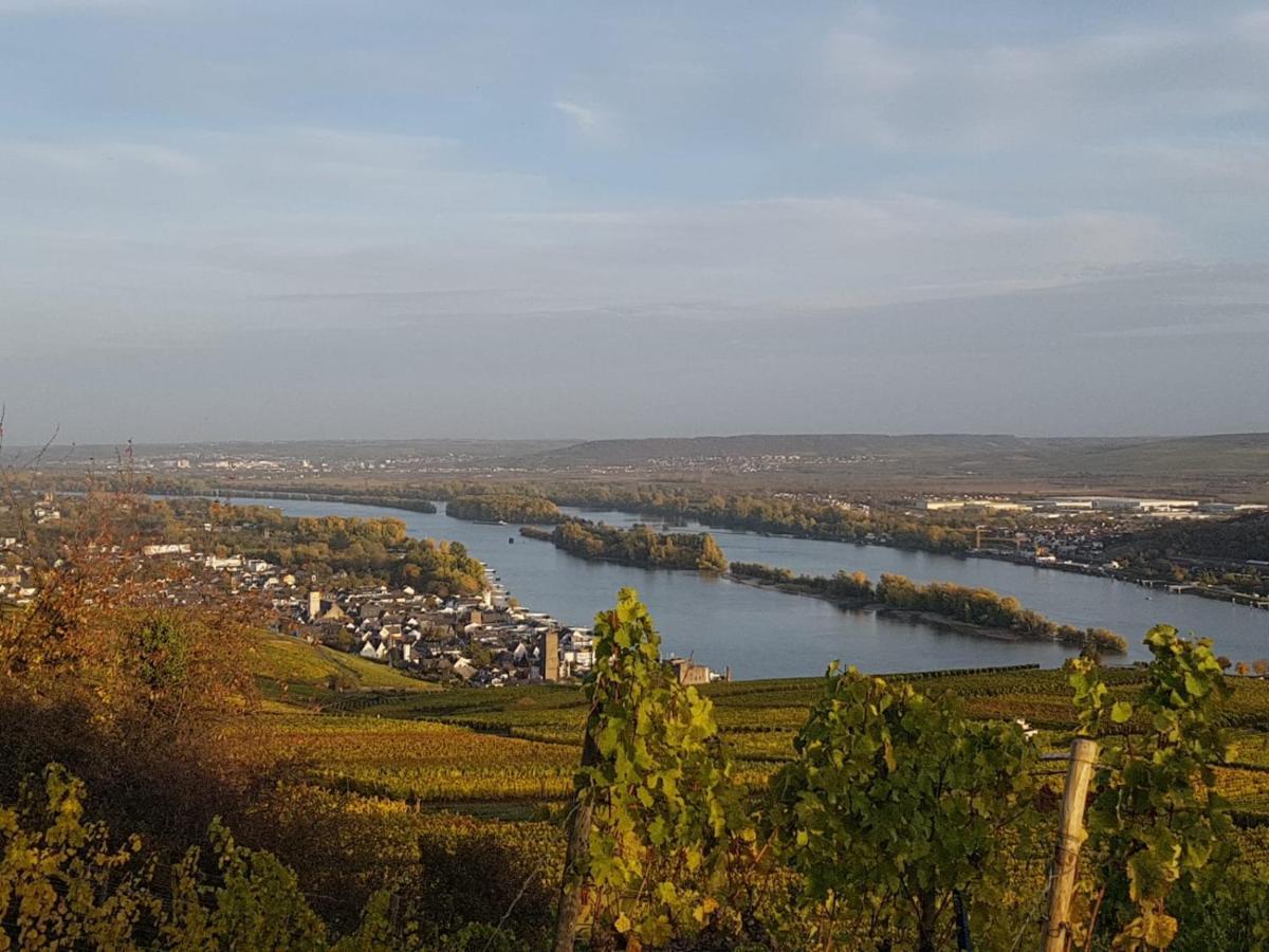 Rheingau Und Weltkulturerbe Mittelrheintal Erleben - Ferienappartement In Winkel Oestrich-Winkel Esterno foto